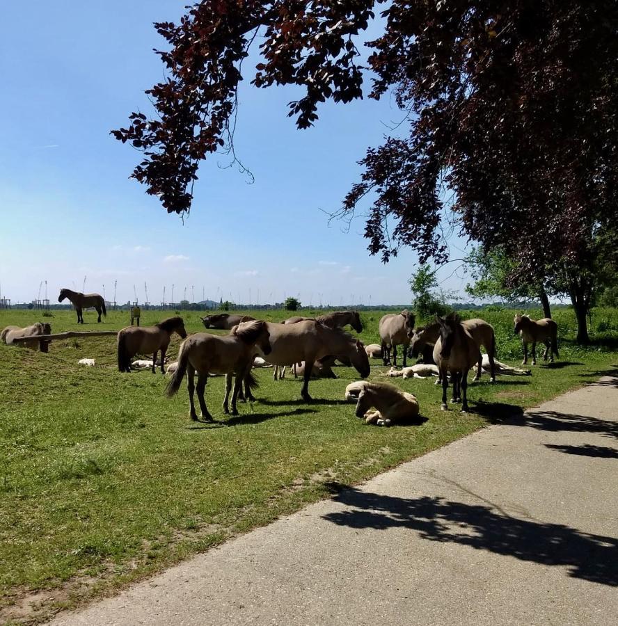 Vakantiewoningen Bienvenue, Le Pont Lanaken Kültér fotó